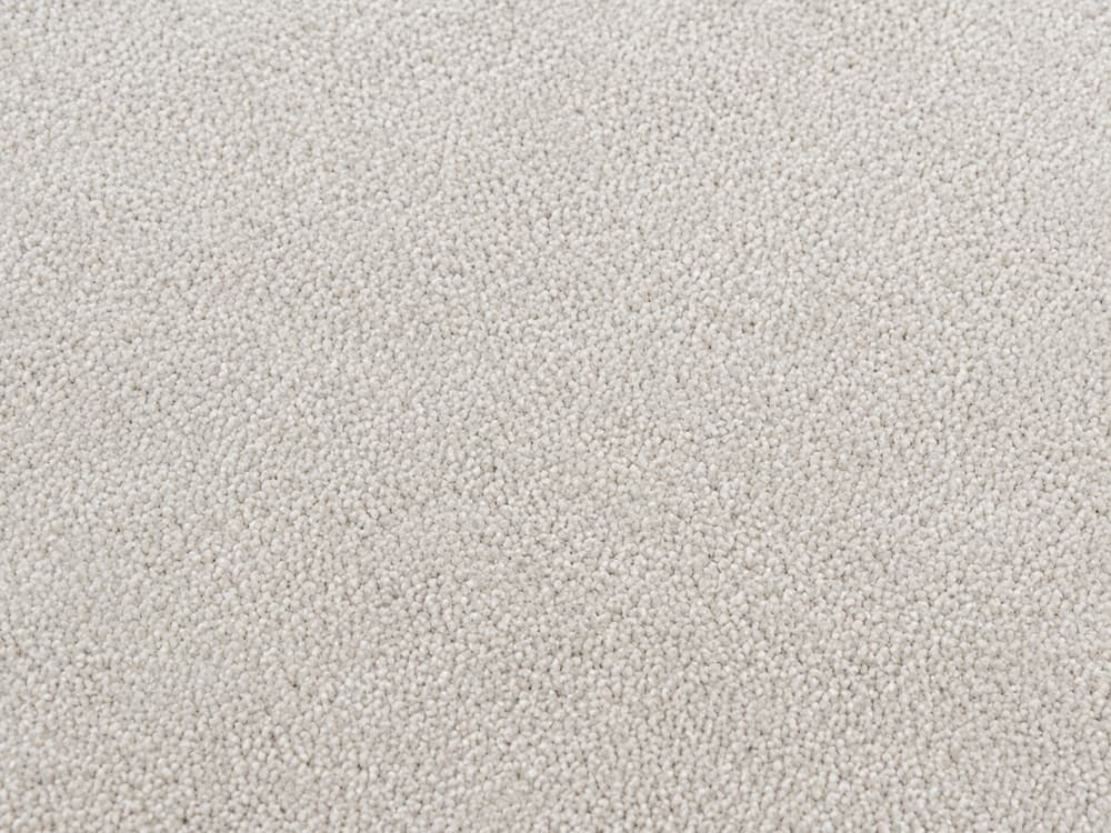After Carpet Cleaning