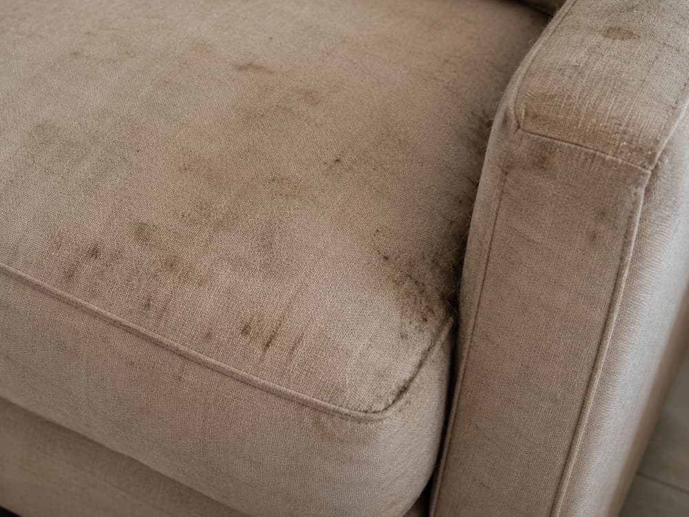 Before Sofa Cleaning